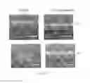 Fig. 08 - GRAPHENE-BASED METAL DIFFUSION BARRIER