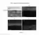 Fig. 09 - GRAPHENE-BASED METAL DIFFUSION BARRIER