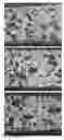 Fig. 01 - Porous ceramic article and method of manufacturing the same