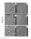 Fig. 09 - Porous ceramic article and method of manufacturing the same