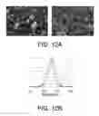 Fig. 12 - Porous ceramic article and method of manufacturing the same