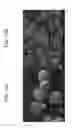 Fig. 15 - Porous ceramic article and method of manufacturing the same