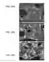 Fig. 17 - Porous ceramic article and method of manufacturing the same