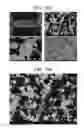 Fig. 20 - Porous ceramic article and method of manufacturing the same