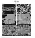 Fig. 22 - Porous ceramic article and method of manufacturing the same