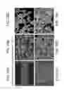 Fig. 26 - Porous ceramic article and method of manufacturing the same