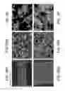 Fig. 27 - Porous ceramic article and method of manufacturing the same