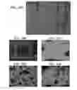 Fig. 35 - Porous ceramic article and method of manufacturing the same