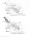 Fig. 06 - Media Stack Compression