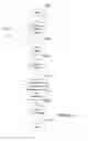 Fig. 10 - Media Stack Compression