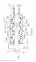 Fig. 09 - Tube coupling device