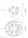 Fig. 22 - Selectably engaged rotary union