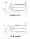 Fig. 03 - Headrest apparatus for multi-purpose vehicle