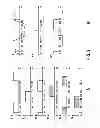 Fig. 03 - Reduction of electrolytic corrosion in a brushless direct-current motor