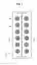 Fig. 02 - PACKAGE INCLUDING RFID TAG, THE RFID TAG, AND RFID SYSTEM