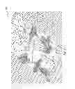 Fig. 07 - CROWD MOVEMENT PREDICTION USING OPTICAL FLOW ALGORITHM