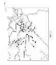 Fig. 09 - CROWD MOVEMENT PREDICTION USING OPTICAL FLOW ALGORITHM