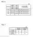 Fig. 06 - Display control apparatus, system and recording medium having display control program