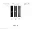 Fig. 09 - Three dimensional microscopy imaging