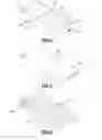 Fig. 07 - Light Emitting Mobile Device Case