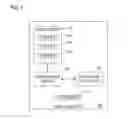 Fig. 02 - Display accessibility for color vision impairment