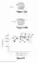 Fig. 02 - Self guided subjective refraction instruments and methods