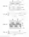 Fig. 07 - PATTERN FORMATION METHOD AND PATTERN FORMATION APPARATUS