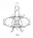 Fig. 08 - Automatic lens mapping system