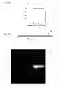 Fig. 18 - Method for producing light diffusion film and light diffusion film