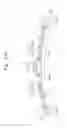Fig. 14 - Display apparatus