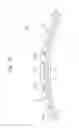 Fig. 19 - Display apparatus