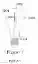 Fig. 02 - Integrated Solid-State Lamp