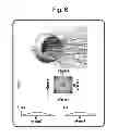 Fig. 06 - Reflector having reflection pattern for compensating for lighting characteristic of LED package and LED lamp including the same