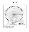 Fig. 07 - Reflector having reflection pattern for compensating for lighting characteristic of LED package and LED lamp including the same
