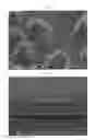 Fig. 08 - Complex optical film and light source assembly including the same