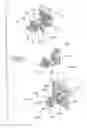 Fig. 07 - LED light means with timepiece