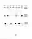 Fig. 03 - Method of selecting a transmission mode of a cell in an EUTRAN system