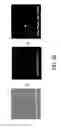 Fig. 09 - METHOD FOR MINIMIZING SCINTILLATION IN DYNAMIC IMAGES