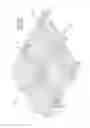 Fig. 02 - SUSPENDED CEILING GRID ADAPTER