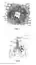 Fig. 03 - INACTIVATION OF SMOOTH MUSCLE TISSUE