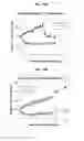 Fig. 13 - PROVASOPRESSIN ANTAGONISTS AND USES THEREOF