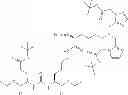 Fig. 209 - Technetium—and rhenium-bis(heteroaryl) complexes and methods of use thereof