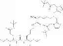 Fig. 210 - Technetium—and rhenium-bis(heteroaryl) complexes and methods of use thereof