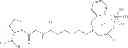 Fig. 256 - Technetium—and rhenium-bis(heteroaryl) complexes and methods of use thereof