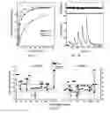 Fig. 03 - High-affinity DMF5 T cell receptor (TCR) variants