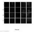 Fig. 07 - Nanoparticles and Uses Thereof