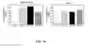 Fig. 20 - Nanoparticles and Uses Thereof