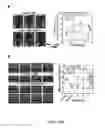 Fig. 23 - Nanoparticles and Uses Thereof
