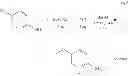 Fig. 06 - BETA-AMYLOID PET IMAGING AGENTS