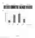 Fig. 05 - Compounds modulators of VEGF activity and uses thereof